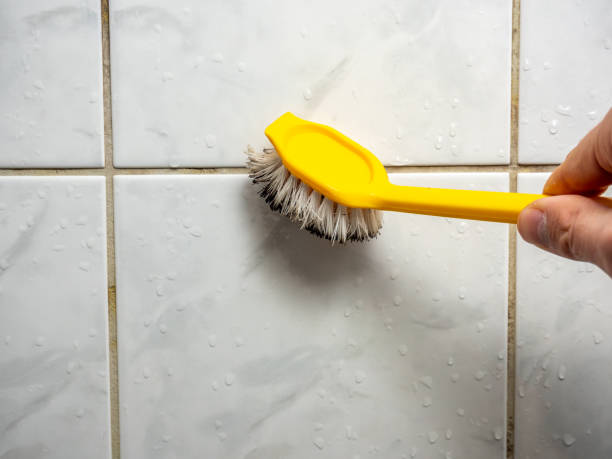 Best Mold Remediation  in Irvine, CA