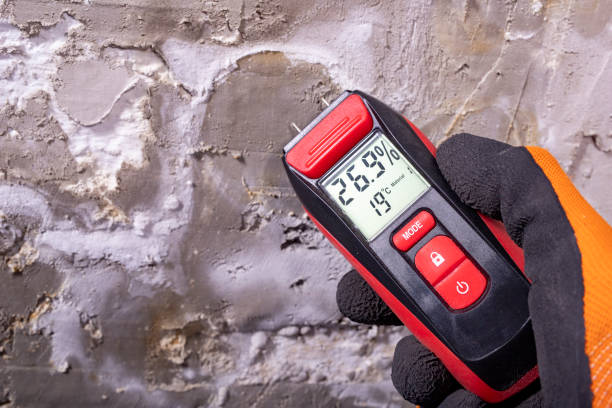 Best Local Mold Removal Service  in Irvine, CA