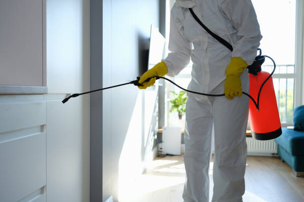 Best Home Mold Removal  in Irvine, CA