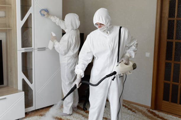 Best Toxic Mold Removal  in Irvine, CA