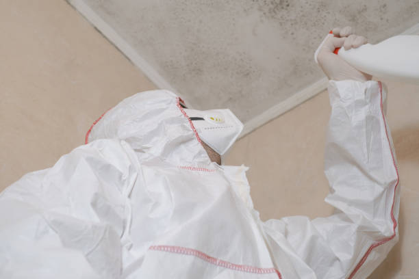 Best Mold Testing  in Irvine, CA