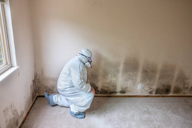Water Damage Restoration in Irvine, CA